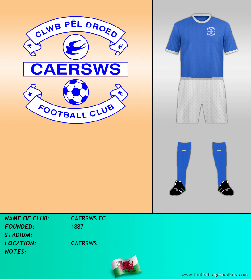 Logo of CAERSWS FC