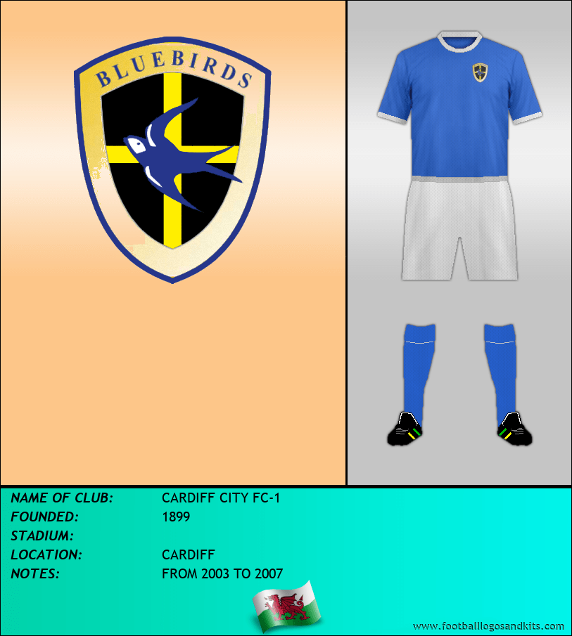 Logo of CARDIFF CITY FC-1
