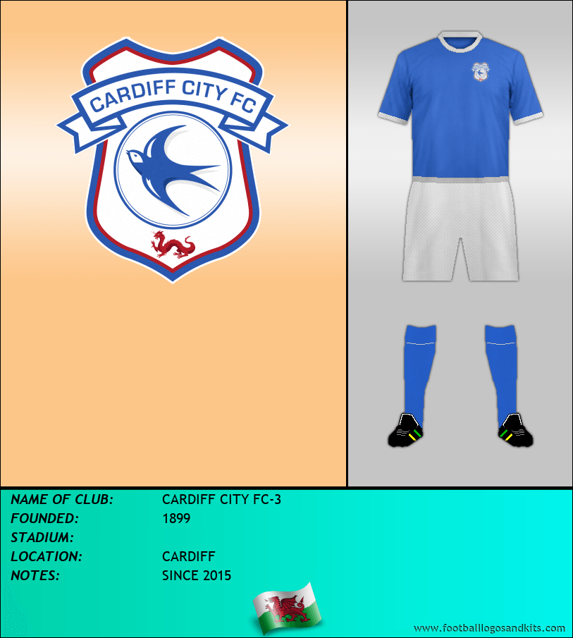 Logo of CARDIFF CITY FC-3