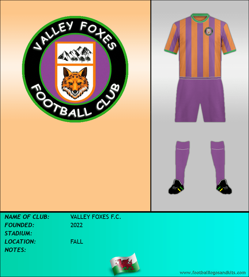 Logo of VALLEY FOXES F.C.