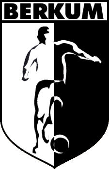 Logo of VV BERKUM (HOLLAND)