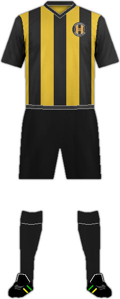 Kit HANDSWORTH F.C.