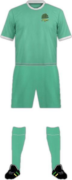 Kit LEVERSTOCK GREEN F.C.