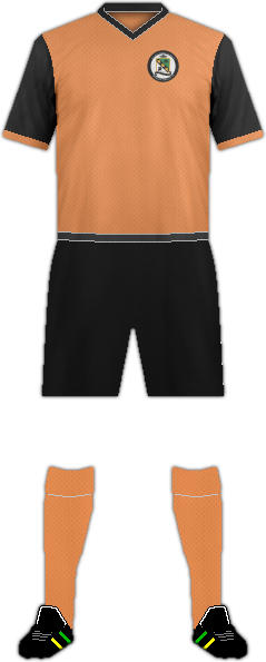 Kit MERSEY VALLEY F.C.