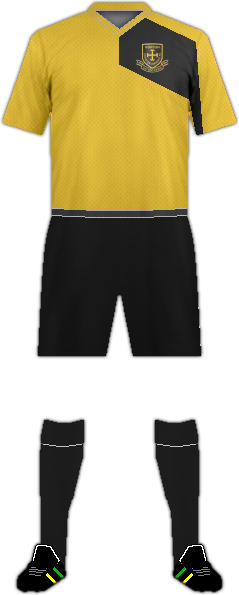 Kit NORTON AND STOCKTON ANCIENTS F.C.