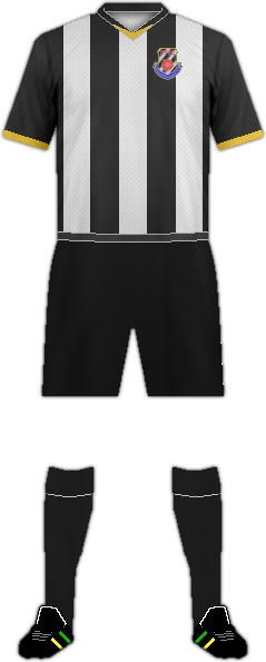 Kit STONEHOUSE TOWN F.C.