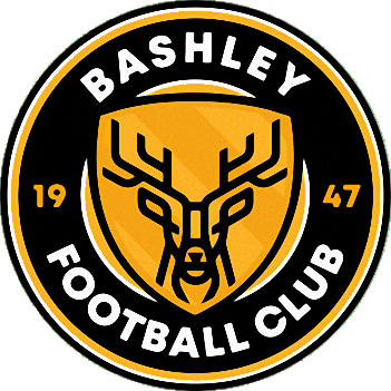 Logo of BASHLEY F.C.-1 (ENGLAND)