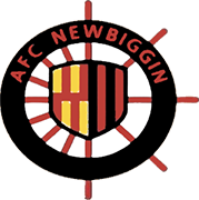 Logo of A.F.C. NEWBIGGIN-min