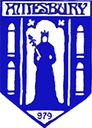 Logo of AMESBURY TOWN F.C.-min