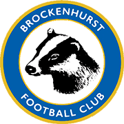 Logo of BROCKENHURST F.C.-min