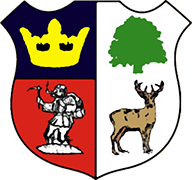Logo of CINDERFORD TOWN A.F.C.-min