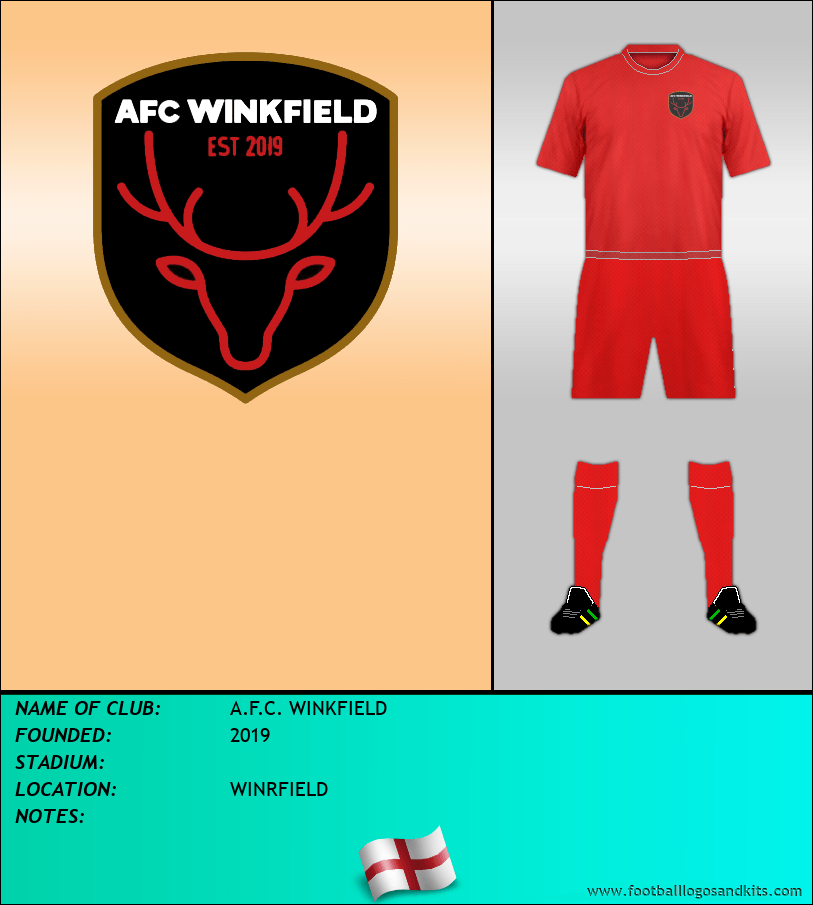 Logo of A.F.C. WINKFIELD