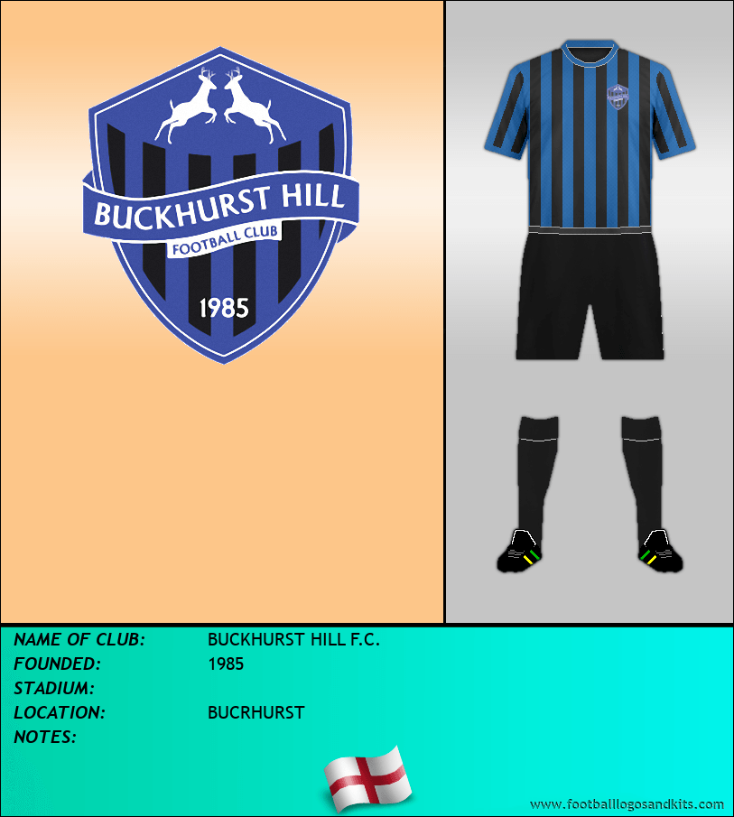 Logo of BUCKHURST HILL F.C.