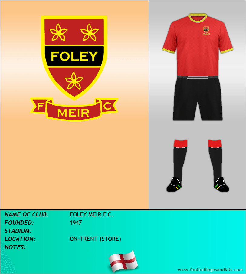 Logo of FOLEY MEIR F.C.