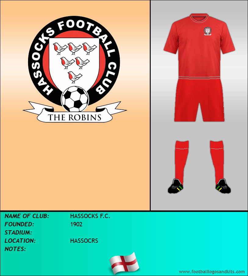 Logo of HASSOCKS F.C.