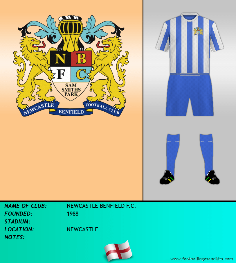 Logo of NEWCASTLE BENFIELD F.C.