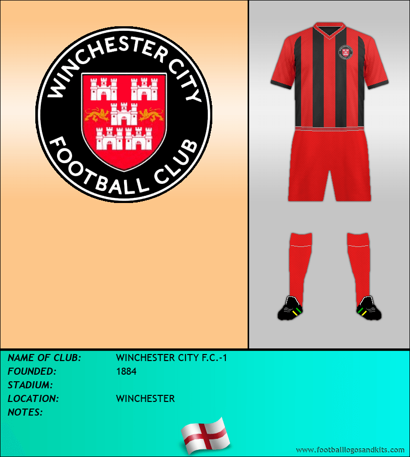 Logo of WINCHESTER CITY F.C.-1