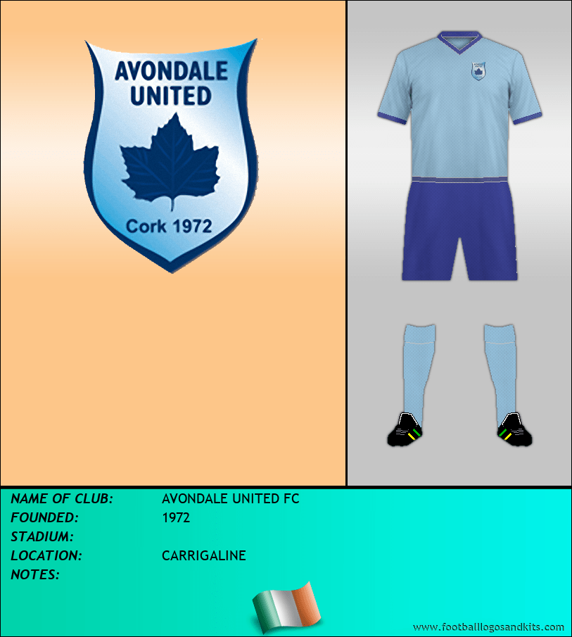 Logo of AVONDALE UNITED FC