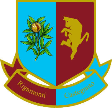 Logo of A.S.D. RIGAMONTI CASTEGNATO (ITALY)