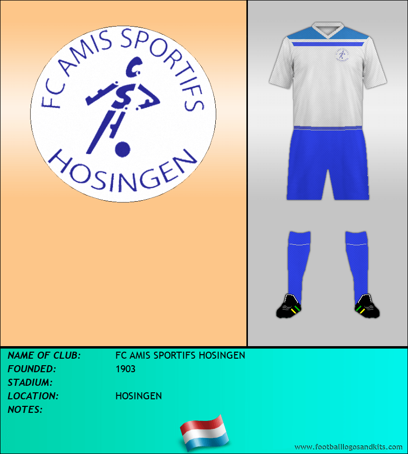 Logo of FC AMIS SPORTIFS HOSINGEN