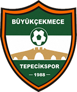 Logo of BÜYUKÇEKMECE TEPECIKSPOR-min