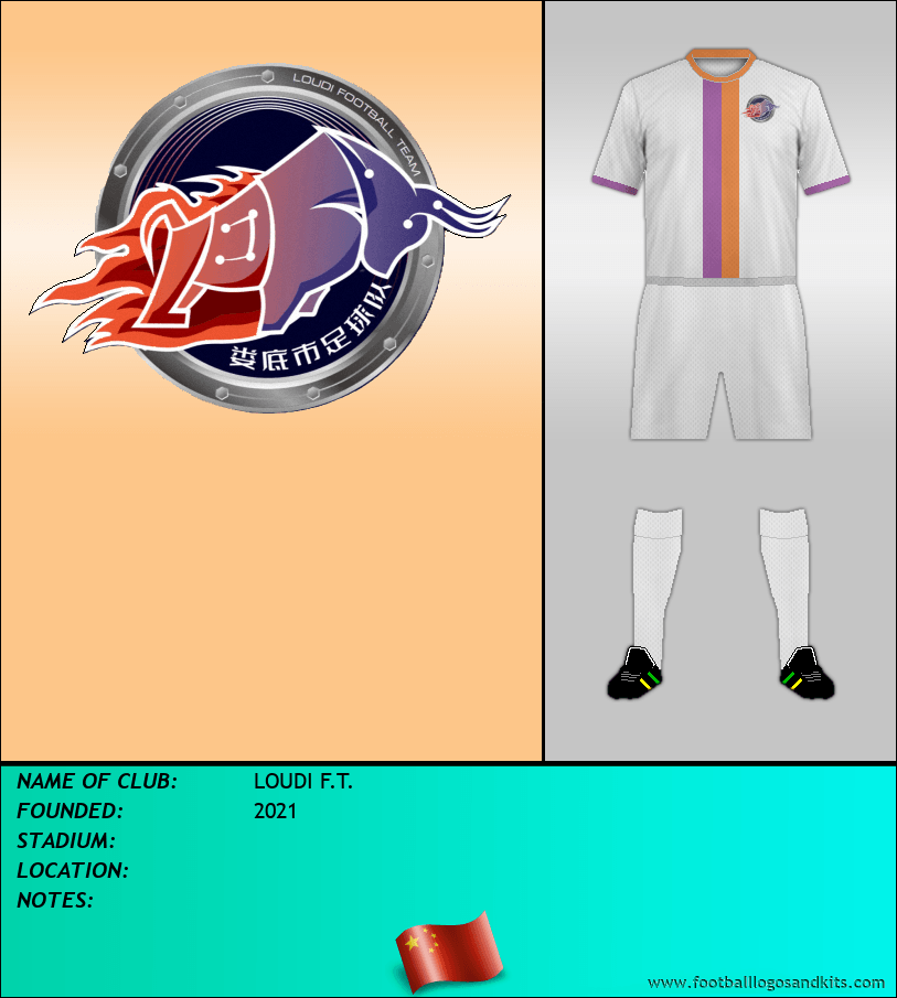 Logo of LOUDI F.T.