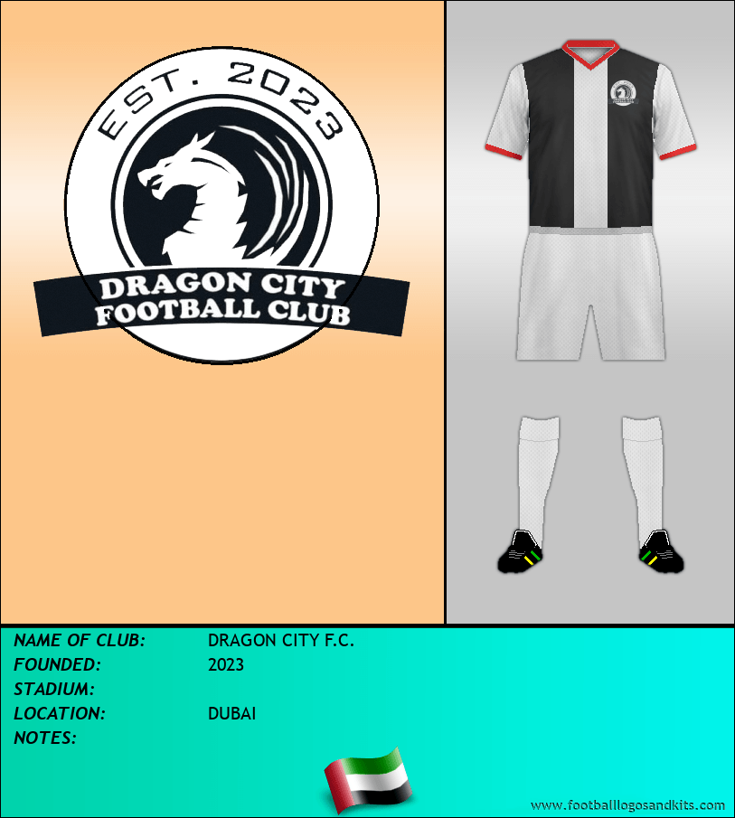 Logo of DRAGON CITY F.C.