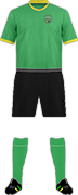 Kit PFC KERALA-min