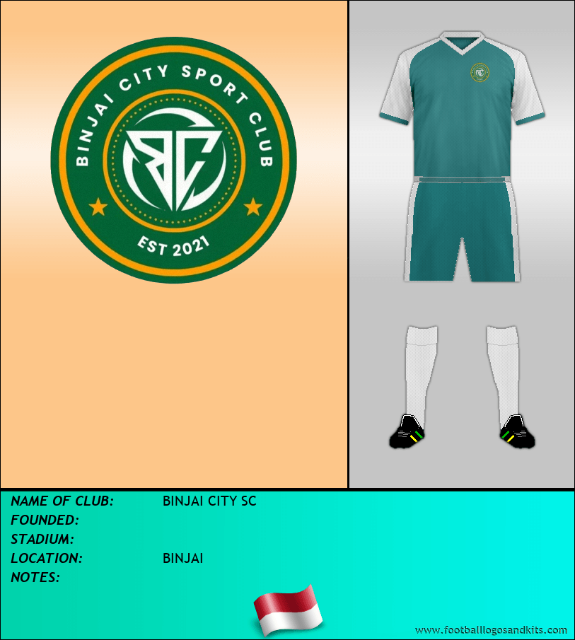 Logo of BINJAI CITY SC