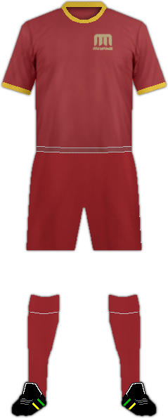 Kit MIYAKE S.C.