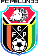 Logo of F.C. PELUNDO-min