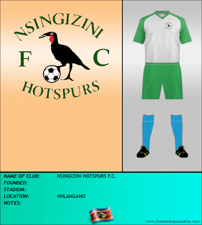 Logo of NSINGIZINI HOTSPURS F.C.