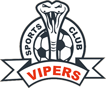 Logo of VIPERS S.C.-min