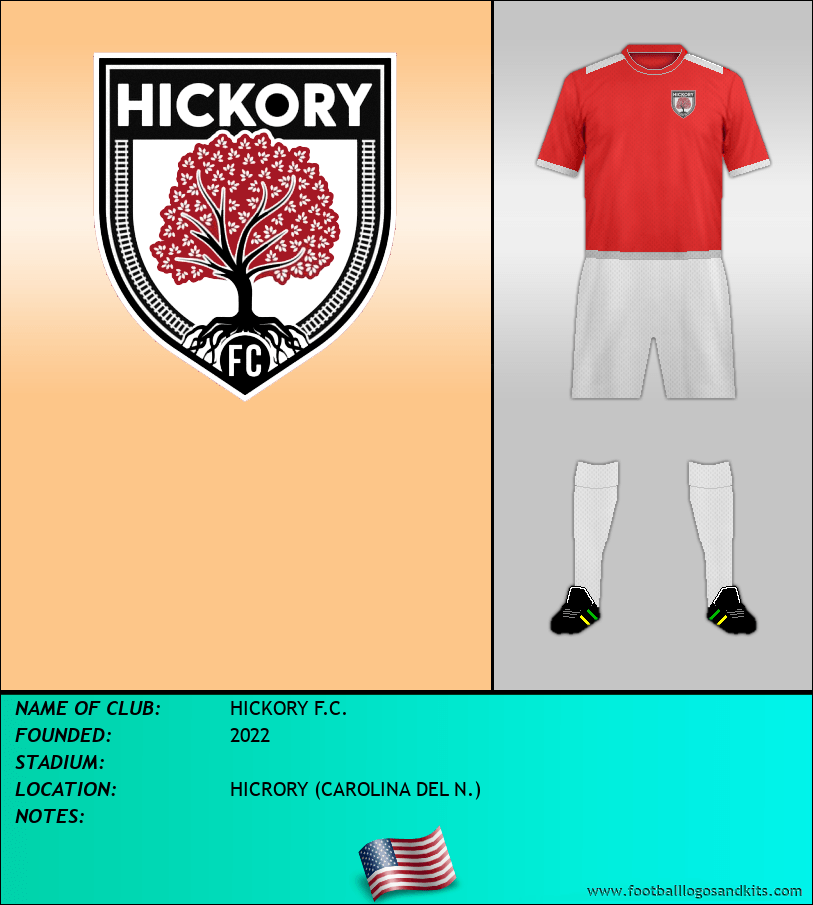 Logo of HICKORY F.C.