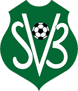 Logo of SURINAME NATIONAL FOOTBALL TEAM-min