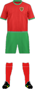 Kit BOTAFOGO F.C.(SANTO CRISTO)-min