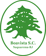 Logo of BOAVISTA S.C.-min