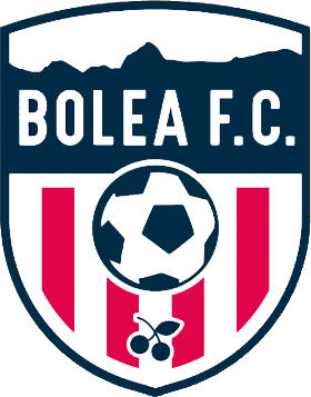 Logo of BOLEA F.C.-2 (ARAGON)