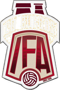 Logo of C.D. BURGOS INTERNACIONAL F.A. (CASTILLA Y LEÓN)