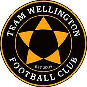 Logo of TEAM WELLINGTON F.C.-min