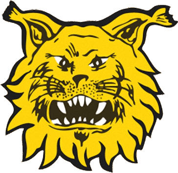 Logo of FC ILVES TAMPEREEN (FINLAND)
