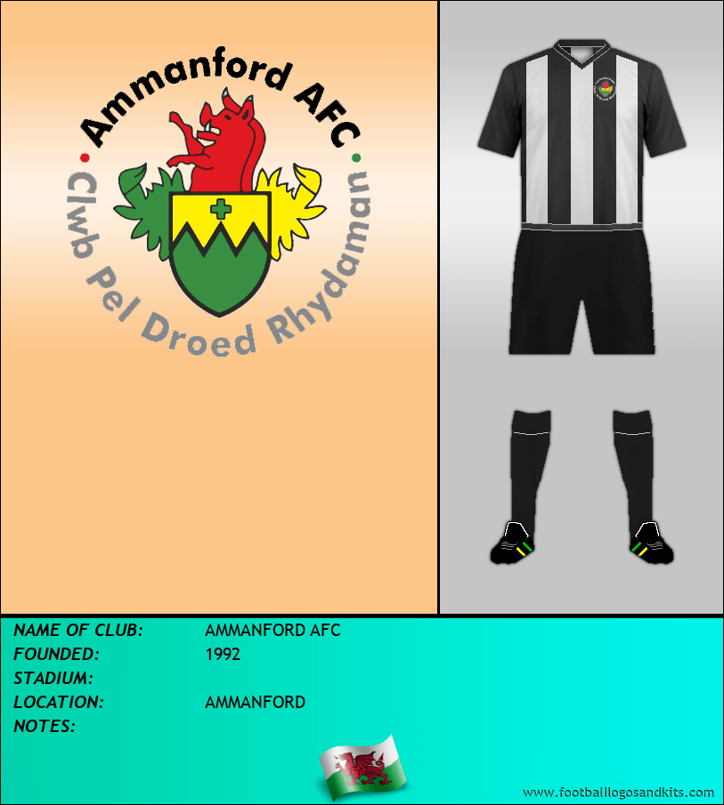Logo of AMMANFORD AFC