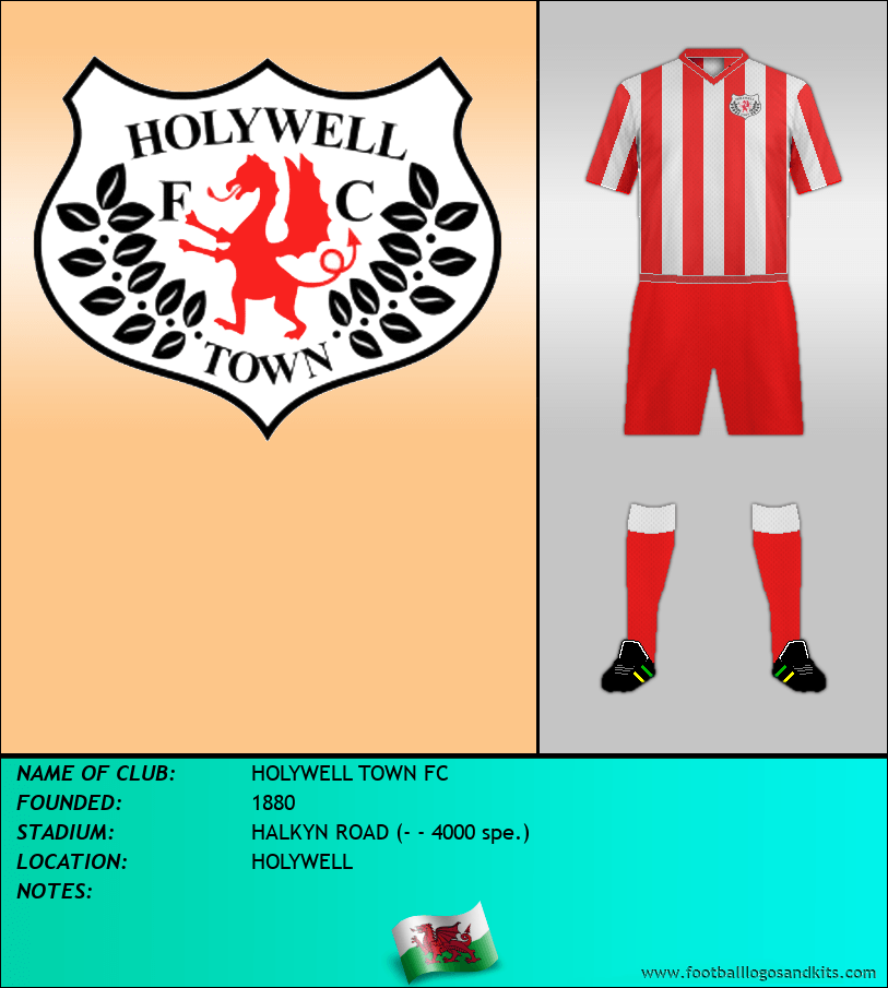 Logo of HOLYWELL TOWN FC