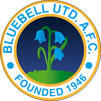 Logo of BLUEBELL UNITED FC (IRELAND)