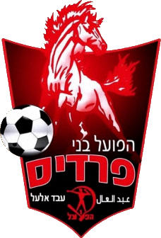 Logo of HAPOEL BNEI FUREIDIS FC (ISRAEL)