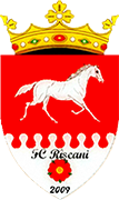 Logo of FC RISCANI-min