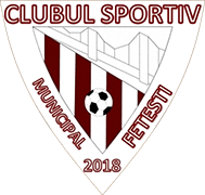 Logo of C.S.M. FETESTI-min