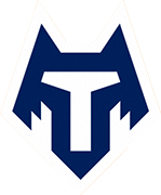 Logo of FC TAMBOV-1