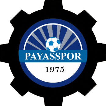 Logo of PAYASSPOR K. (TURKEY)